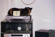 My neighbour's cat power napping on my VCR