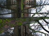 Odense