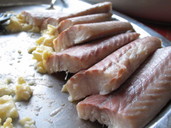 Raw eel