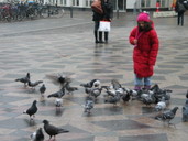 Nytorv