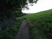 Walk