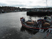 Whitby