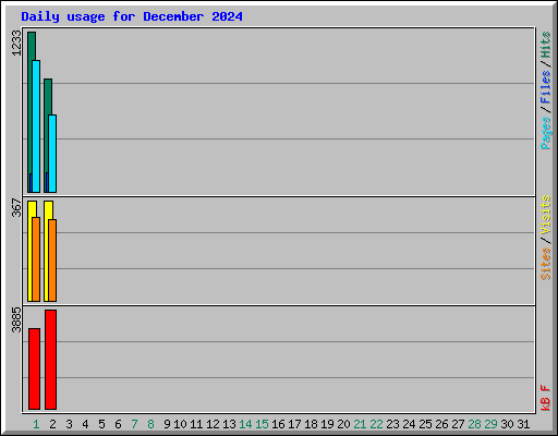 Daily usage for December 2024