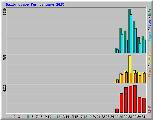 Daily usage for January 2025