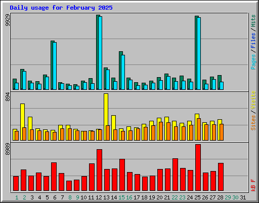 Daily usage for February 2025