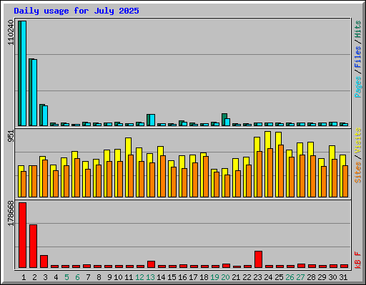 Daily usage for July 2025