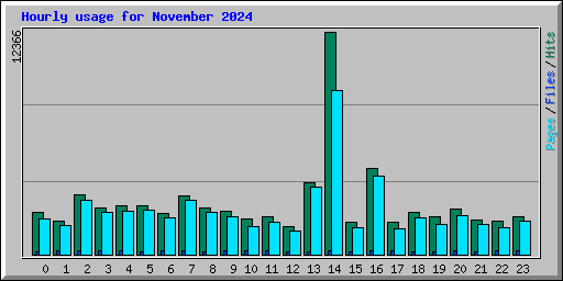 Hourly usage for November 2024