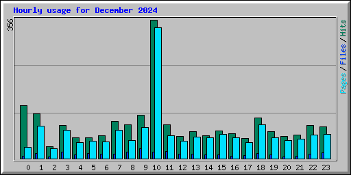 Hourly usage for December 2024