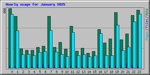 Hourly usage for January 2025