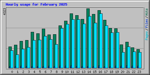Hourly usage for February 2025