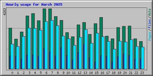 Hourly usage for March 2025