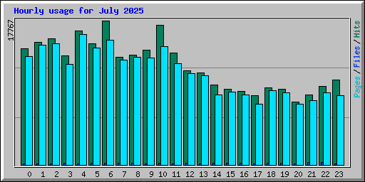 Hourly usage for July 2025