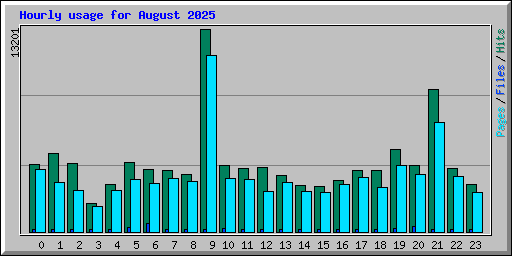 Hourly usage for August 2025