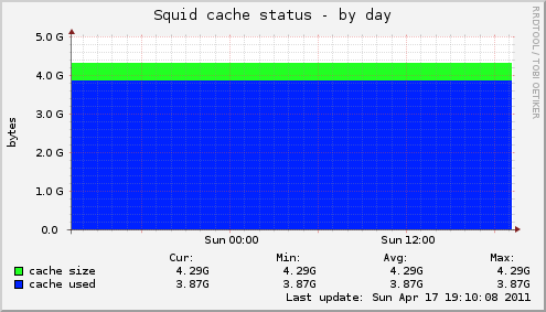 Squid cache status