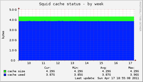 Squid cache status